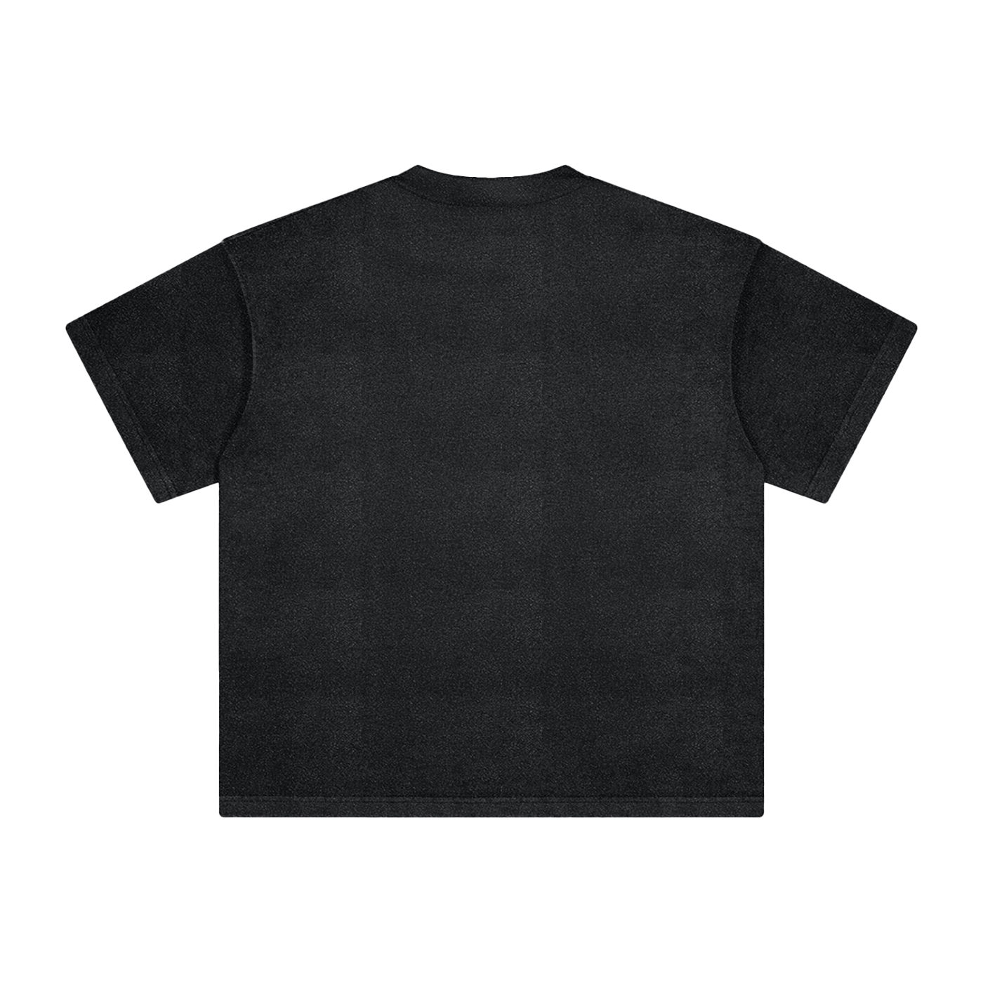 “ESTABLISHED 1850” Heavyweight Vintage T-Shirt